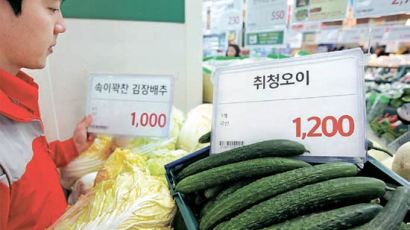 [사진] 오이가 배추보다 비싸네