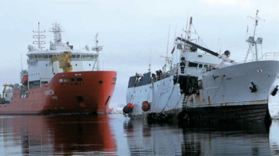 남극 러시아 조난 선박, 아라온호는 성탄 선물