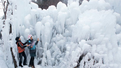 [사진] 산림욕장 얼음 동산 