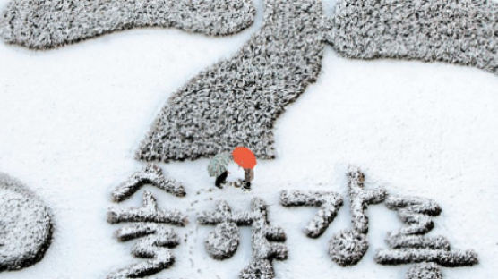 [사진] 강릉의 겨울