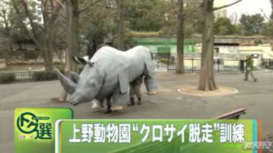 지진이다! 코뿔소가 도망쳤다! 도쿄 동물원 이색 훈련