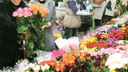[사진] 꽃 도매시장 “오늘만 같아라” 