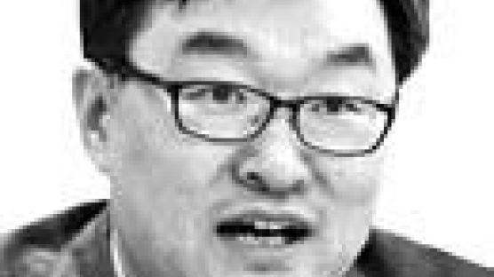 [시론] 삼각파도에 직면한 한국 외교