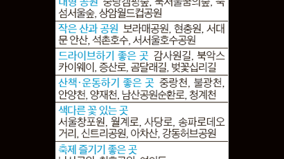 석촌호수·감사원길 … 봄꽃 구경 가볼까