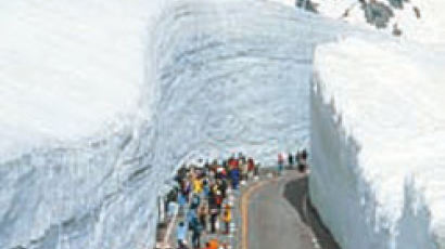 [알림] 20m 눈 계곡 체험 … 도야마 힐링 투어 참가자 모집