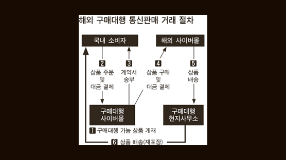 해외 구매대행 쇼핑몰 싸다 했더니 …