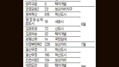 나홀로 몸값 높아지는 ‘단독’