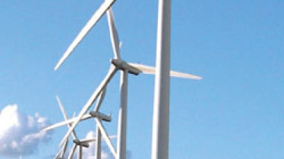 풍력발전 전문지식 없어도 세계 그린기업 1위 올랐다