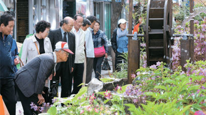 [사진] 약초 꽃동산 