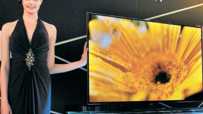 양산형 55인치 OLED TV 첫 공개