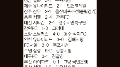 아우에게 혼쭐난 형님