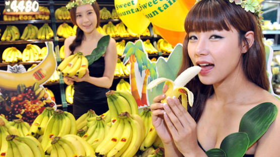 [사진] ‘스위트 마운틴’ 바나나 한 송이에 2980원