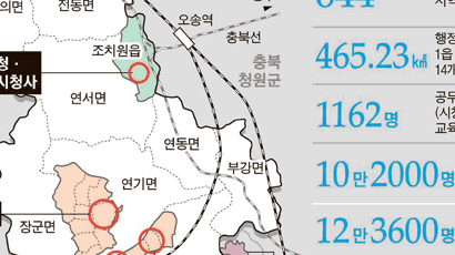 세종시 넓이 서울 77%, 구청 없어요
