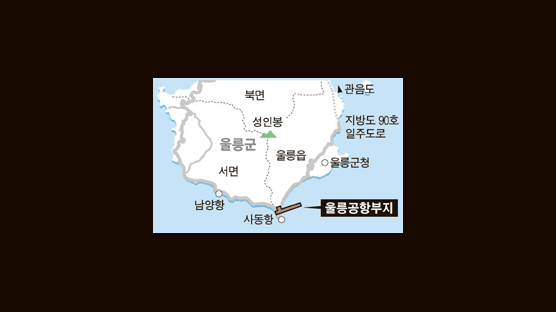 길이 1100m 울릉공항, 심사 통과할까