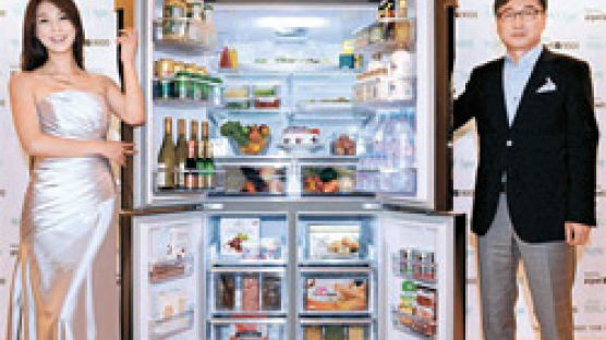 삼성전자, 세계최대 900L 가정용 냉장고 내놔