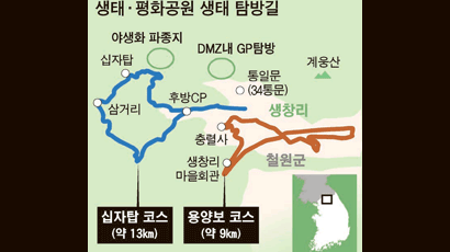 DMZ 군 작전로에 생태탐방길 두 개 연다