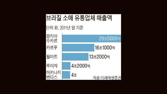 외국인에 포용적인 브라질 … 소매유통업 외국계가 장악