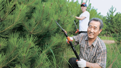 민둥산을 숲 만든 ‘소나무 아저씨’ 집념 40년