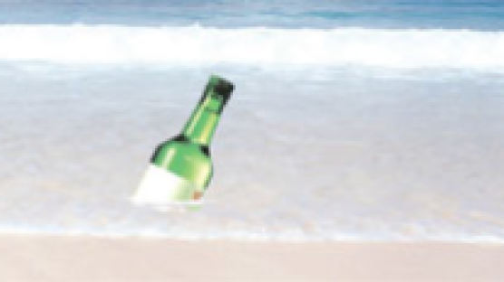 [논쟁] 해수욕장 음주 규제해야 하나