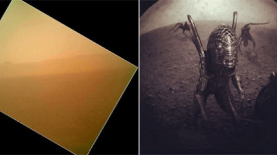 "기대와는 많이 달라" 네티즌이 기대한 '화성 사진'은? 