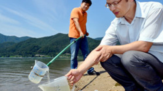 한강 녹조서 ‘독성분비’ 남조류 확인 … 서울 폭염 주말에 한풀 꺾일 듯