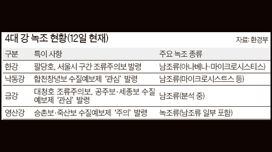 최악의 녹조 사라지나 … 오늘까지 최고 120mm 단비