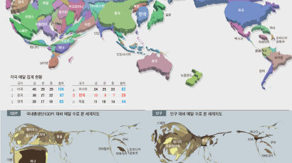 ‘메달 대국’ 한국, 인도보다 크다