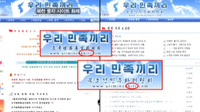 '우리민족끼리'에서 김정은 비난? "북조선 좋으면 거기 살아라"