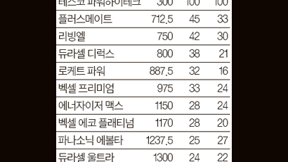 건전지 값 따로 성능 따로