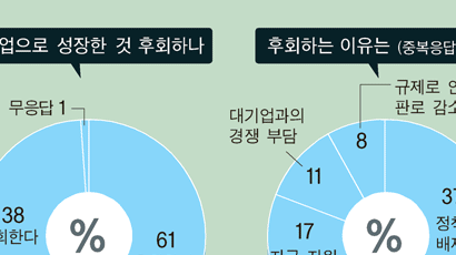 “중견기업 된 것 후회한다” 38%