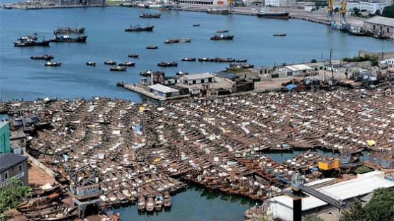 [사진] 북한 동해 최대 항구 청진항, 목선만이 가득했다 