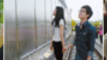 DMZ 관광, 병영체험...안보 전선의 젊은 문화