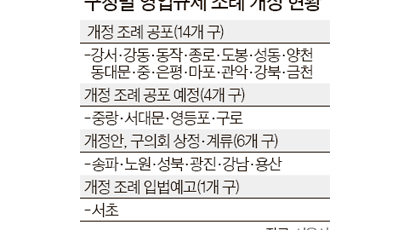 서울시내 대형마트…영업규제 내달 재개