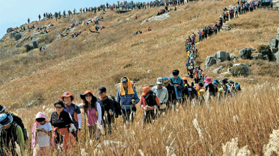 [사진] 무등산 정상 개방 … 4만여 명 몰려