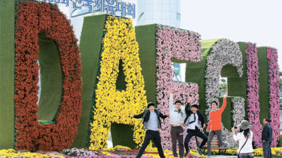 [사진] 전국체전 앞두고 꽃단장 