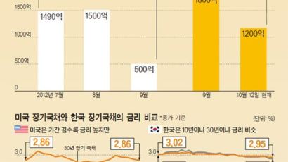 수퍼리치의 변심… 브라질 대신 한국 30년 국채로