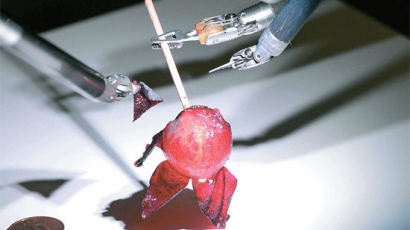 [사진] '사람손 아니므니다' 포도알 벗기는 로봇 손