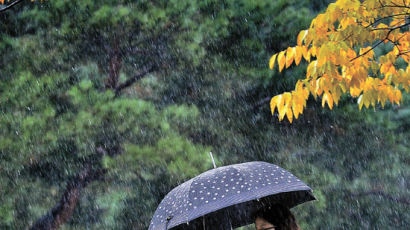 [사진] 가을 가뭄 풀리고 … 쌀쌀해진 바람