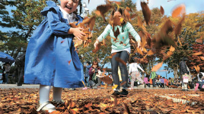[사진] 낙엽도 장난감 … 아이들은 신난다