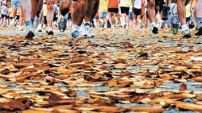 도심을 달리자 ‘중마 스타일’ … 1만5000명 잠실벌 가을축제