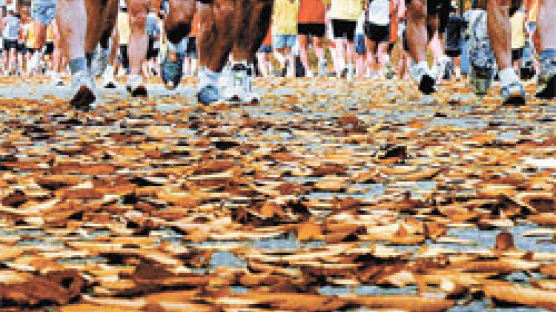 도심을 달리자 ‘중마 스타일’ … 1만5000명 잠실벌 가을축제