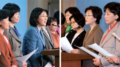 민주, 박근혜 여성대통령론 잠재우려다 '역풍' 