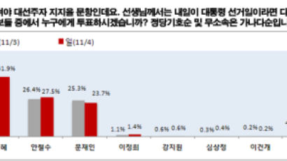 [2012선거 일일 여론조사] 대선 차기주자 선호도