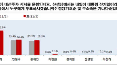 [2012선거 일일 여론조사] 대선 차기주자 선호도
