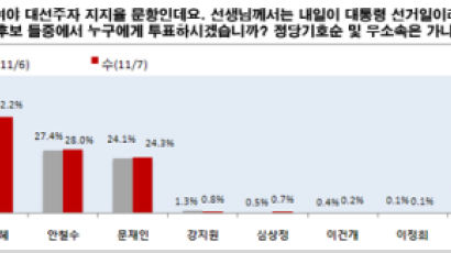 [2012선거 일일 여론조사] 대선 차기주자 선호도
