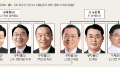 사촌에게 경영권 이양 … LS그룹 새 회장 구자열