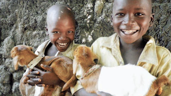 아프리카에 염소 선물 … 초등교의 지혜로운 기부