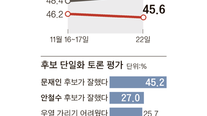 “단일화 TV토론 본 후 지지 후보 바꿨다” 5.4%