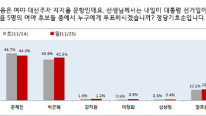 [2012선거 일일 여론조사] 대선 차기주자 선호도