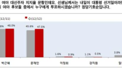 [2012선거 일일 여론조사] 대선 차기주자 선호도